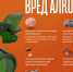 Всероссийский день трезвости - Молодежный социально-деловой центр