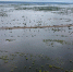 Паводок не страшен - Yalutorovsk.Online
