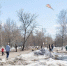 В Тюменской области к концу недели потеплеет до плюс 16 - Yalutorovsk.Online